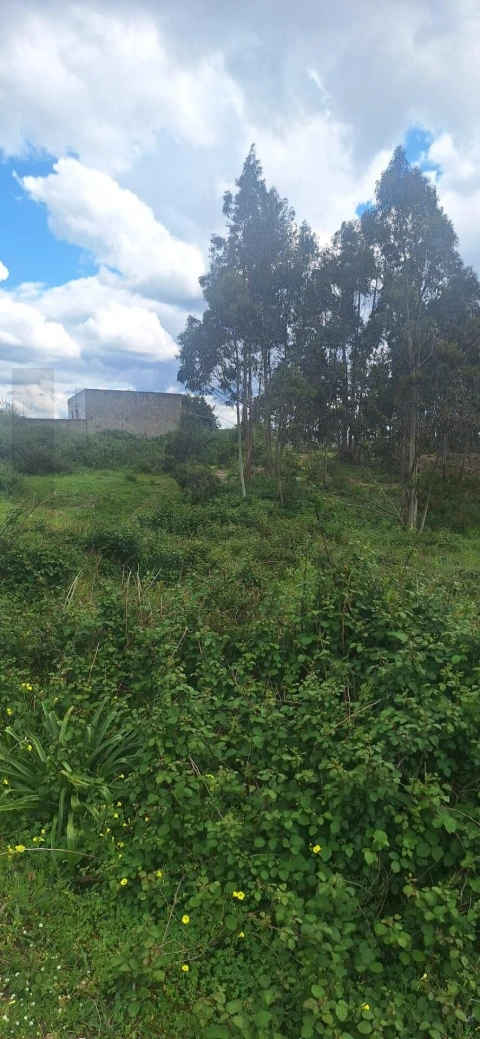 Terreno para Venda em Ponte do Rol