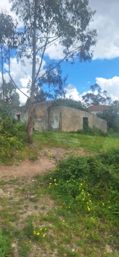 Terreno para Venda em Ponte do Rol