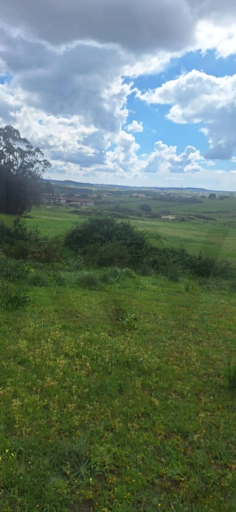 Terreno para Venda em Ponte do Rol Foto 21