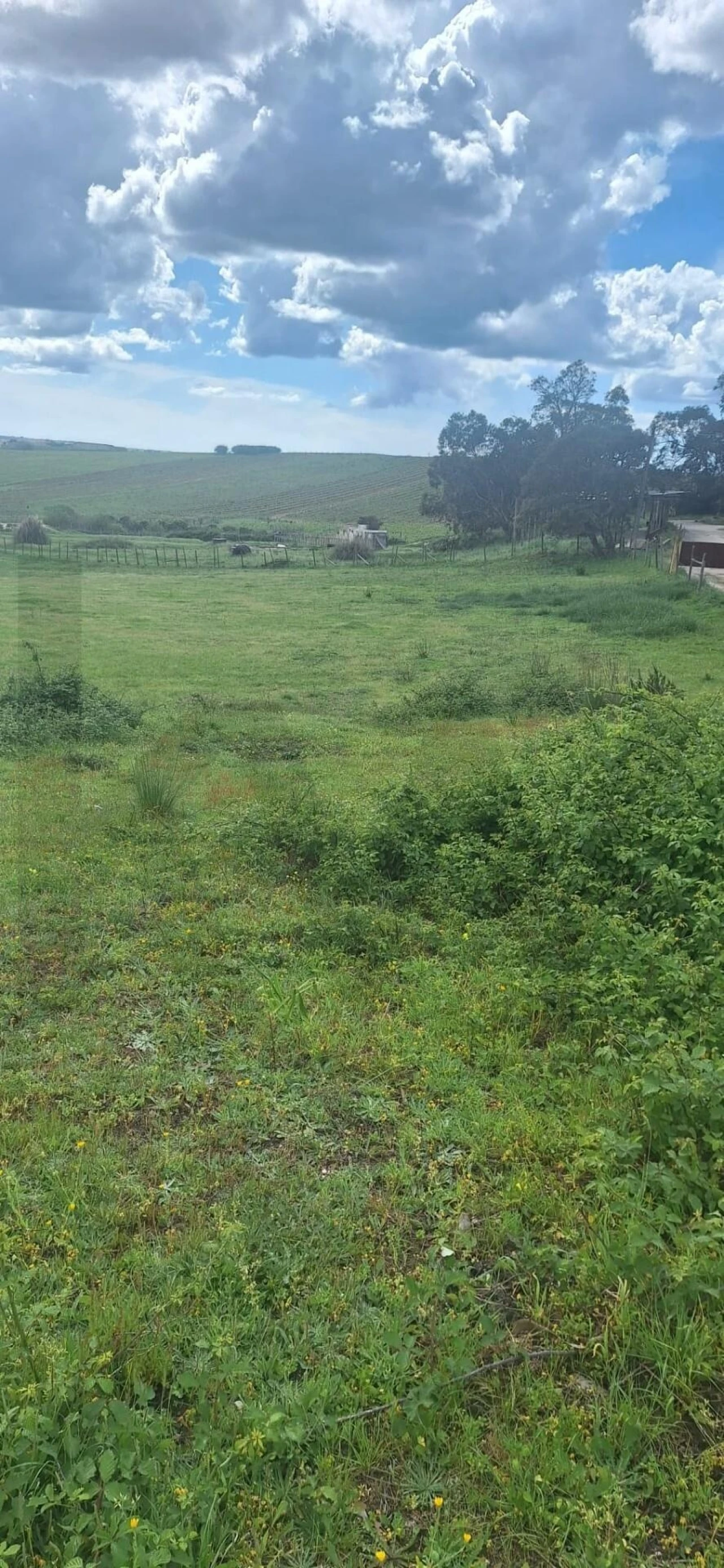 Terreno para Venda em Ponte do Rol Foto 12
