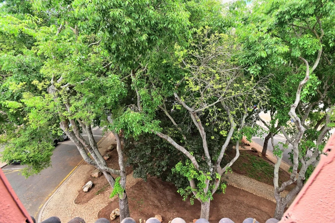 Apartamento T1 para Arrendamento em Cascais e Estoril Foto 17