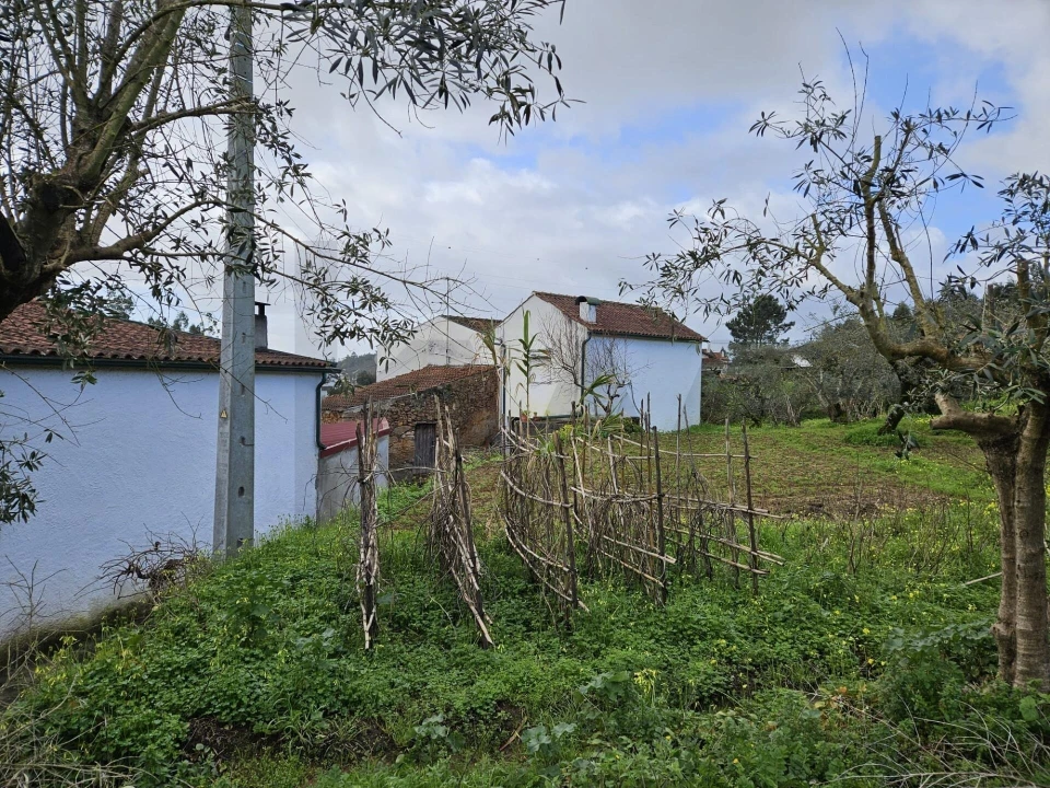 Moradia T3 para Venda em Brasfemes Foto 25