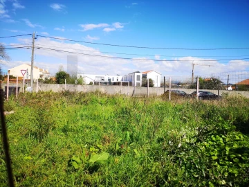 Terreno para Venda em Cacia