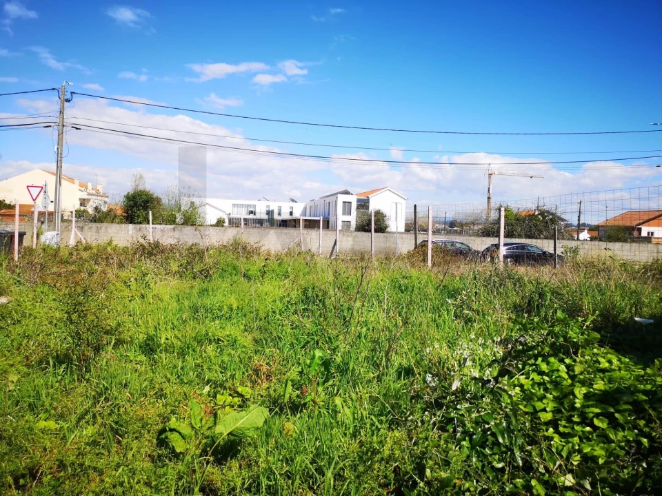 Terreno para Venda em Cacia Foto 3