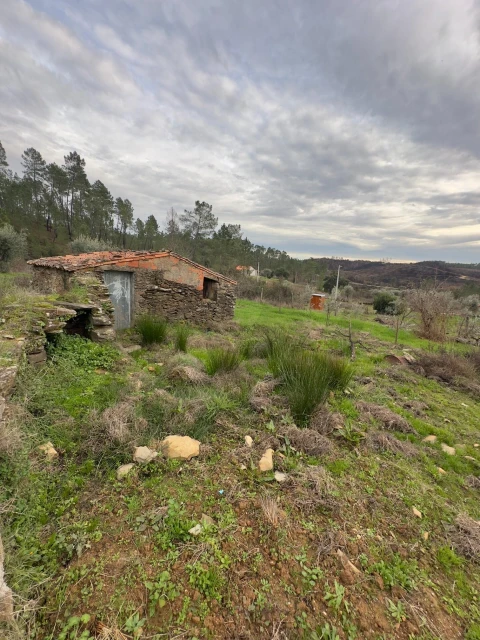 Quinta T4 para Venda em Santo Andre das Tojeiras
