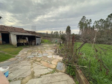 Quinta T4 para Venda em Santo Andre das Tojeiras