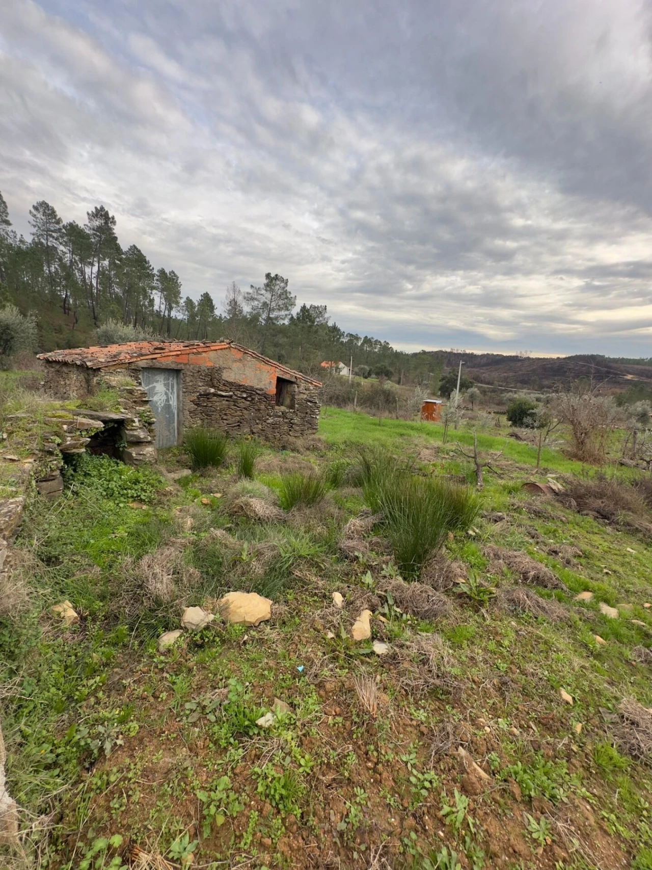 Quinta T4 para Venda em Santo Andre das Tojeiras Foto 24