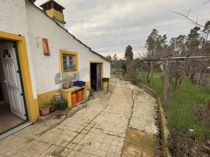 Quinta T4 para Venda em Santo Andre das Tojeiras Foto 15