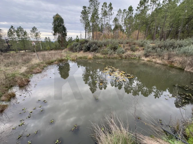 Quinta T4 para Venda em Santo Andre das Tojeiras Foto 18