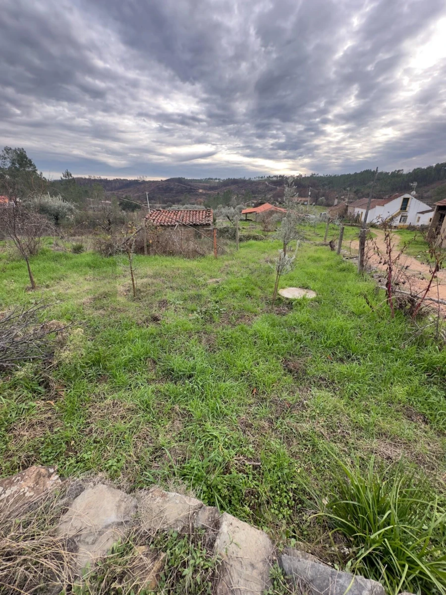 Quinta T4 para Venda em Santo Andre das Tojeiras Foto 23