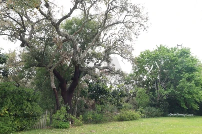 Moradia T4 para Venda em Santo Estêvão