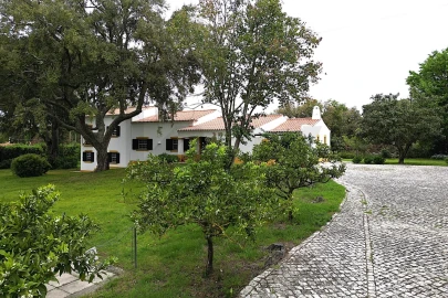 Moradia T4 para Venda em Santo Estêvão