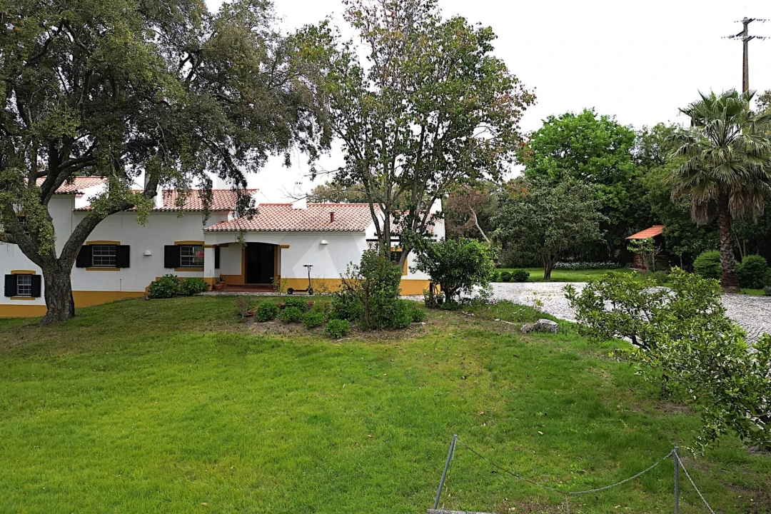 Moradia T4 para Venda em Santo Estêvão Foto 60