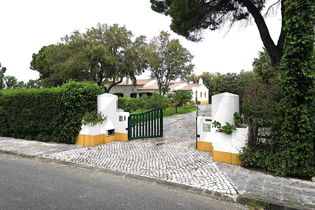 Moradia T4 para Venda em Santo Estêvão Foto 58