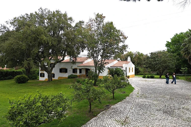 Moradia T4 para Venda em Santo Estêvão Foto 56