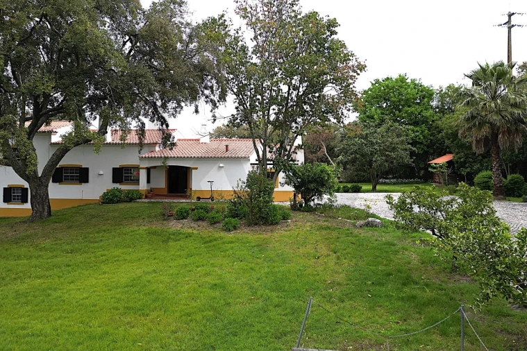 Moradia T4 para Venda em Santo Estêvão Foto 60