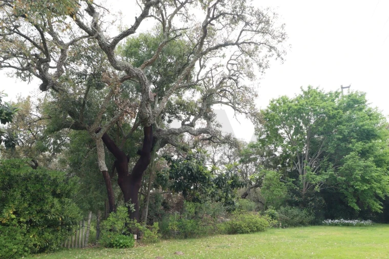 Moradia T4 para Venda em Santo Estêvão Foto 17