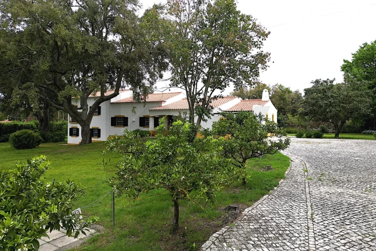 Moradia T4 para Venda em Santo Estêvão Foto 59