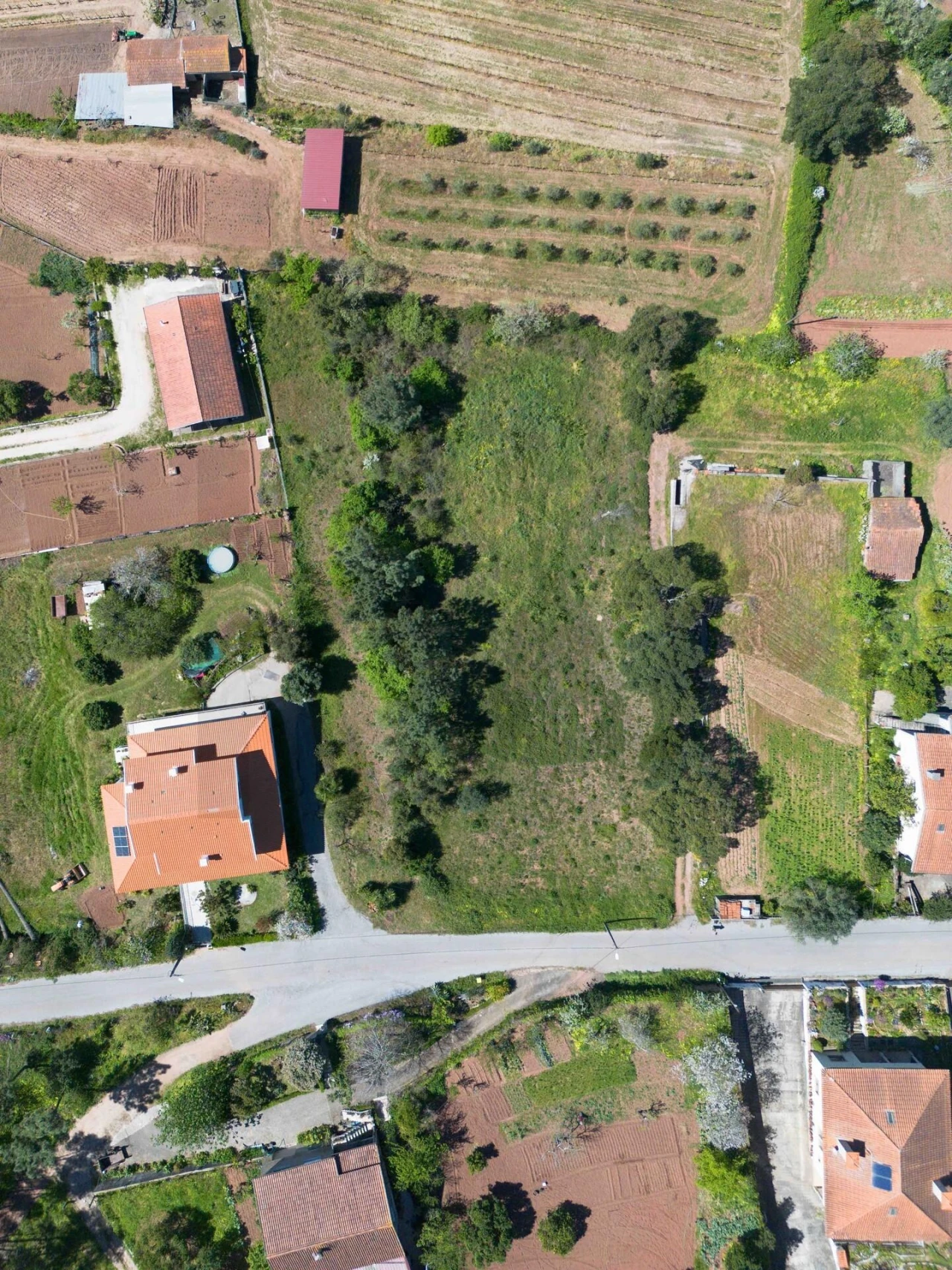Terreno para Venda em Souselas e Botão Foto 4