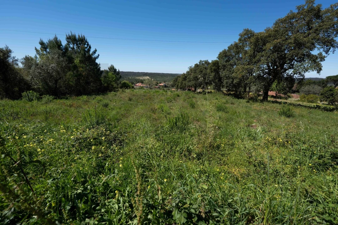 Terreno para Venda em Souselas e Botão Foto 13