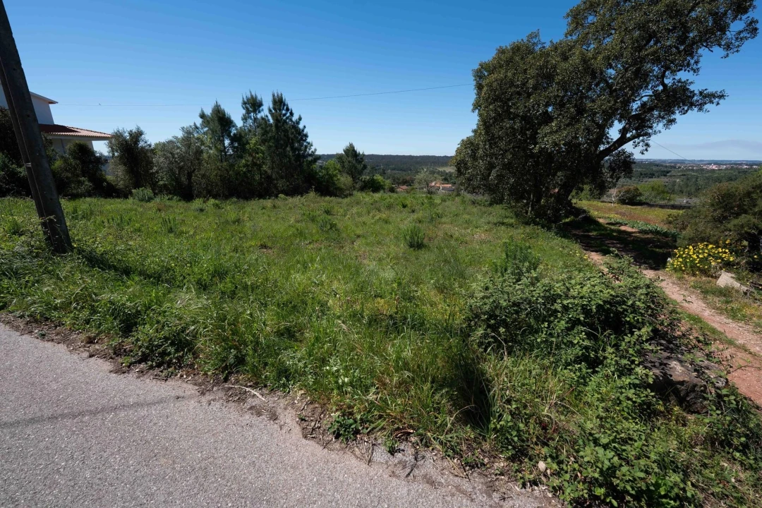 Terreno para Venda em Souselas e Botão Foto 11