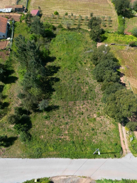 Terreno para Venda em Souselas e Botão