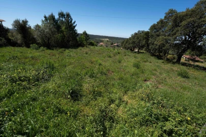 Terreno para Venda em Souselas e Botão