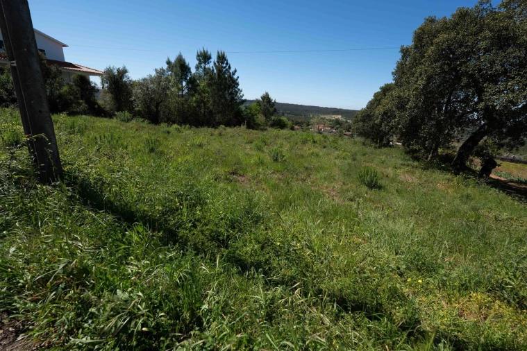 Terreno para Venda em Souselas e Botão Foto 14