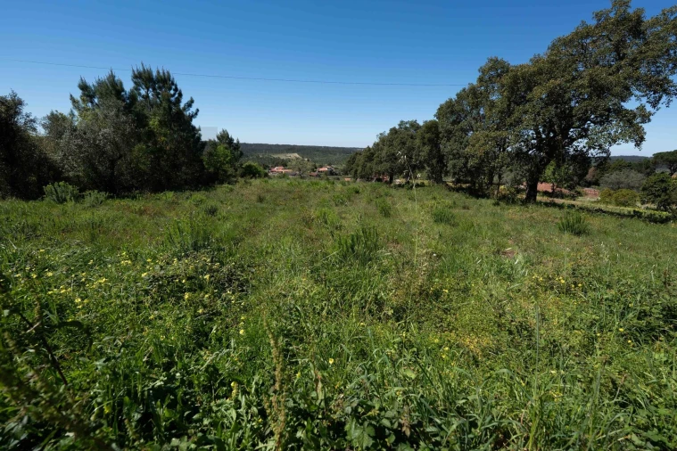 Terreno para Venda em Souselas e Botão Foto 13