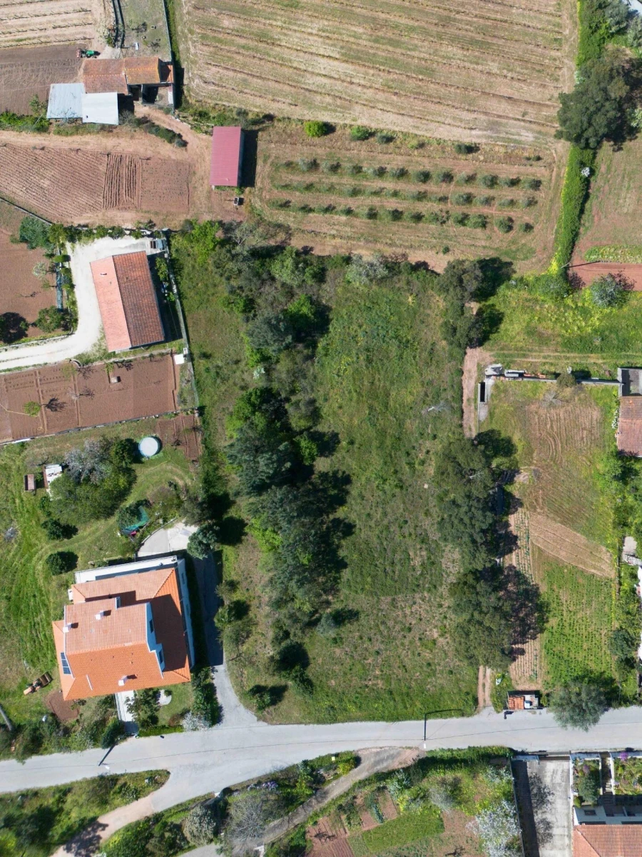 Terreno para Venda em Souselas e Botão Foto 3