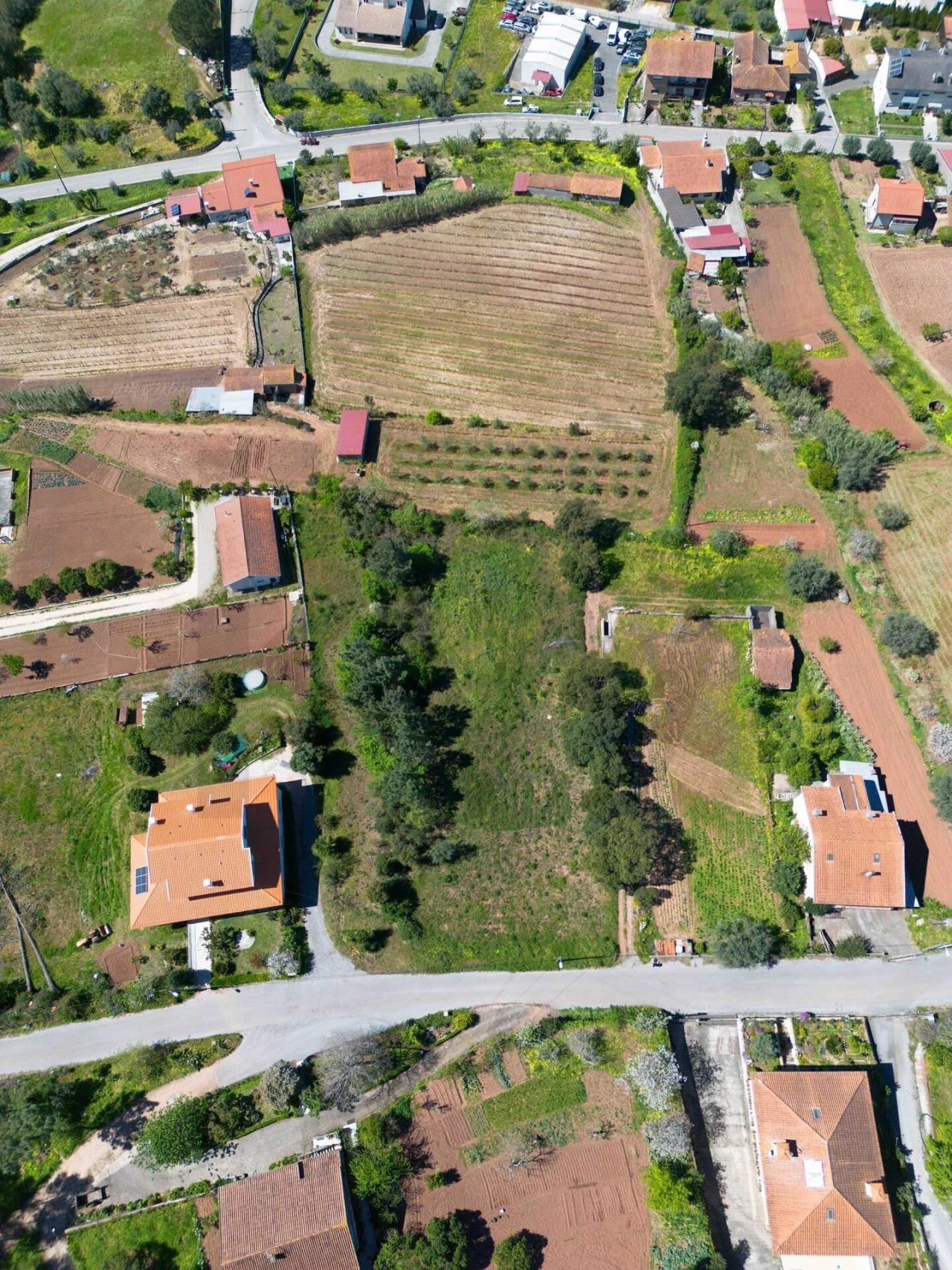 Terreno para Venda em Souselas e Botão Foto 2