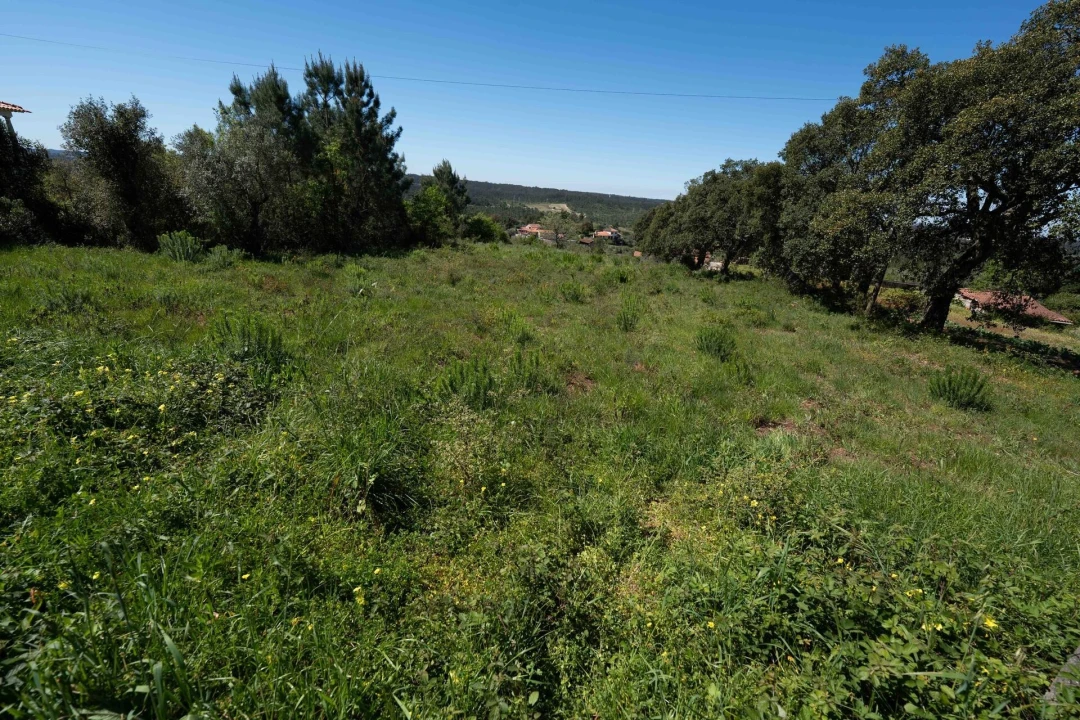 Terreno para Venda em Souselas e Botão Foto 12