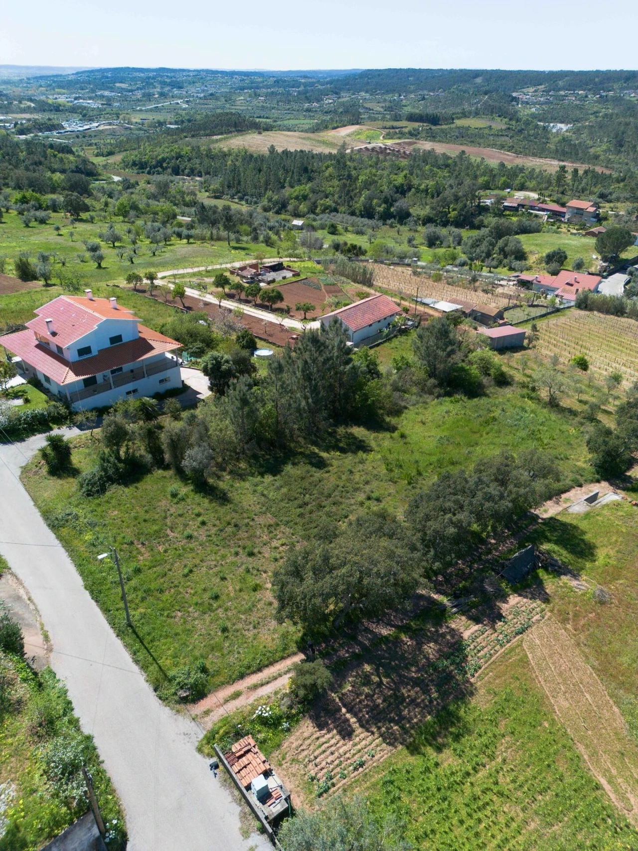 Terreno para Venda em Souselas e Botão Foto 8