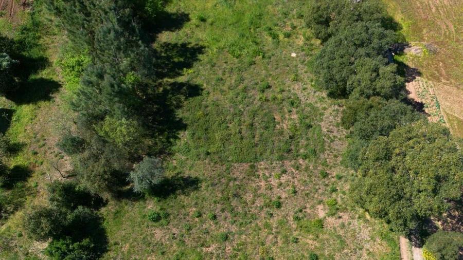 Terreno para Venda em Souselas e Botão