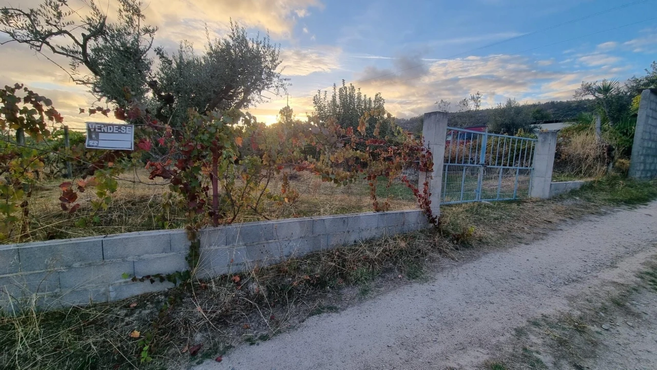 Quinta para Venda em Louriçal do Campo Foto 1