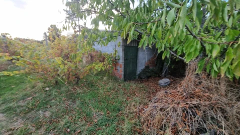 Quinta para Venda em Louriçal do Campo