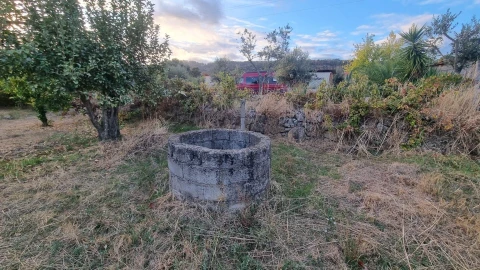 Quinta para Venda em Louriçal do Campo