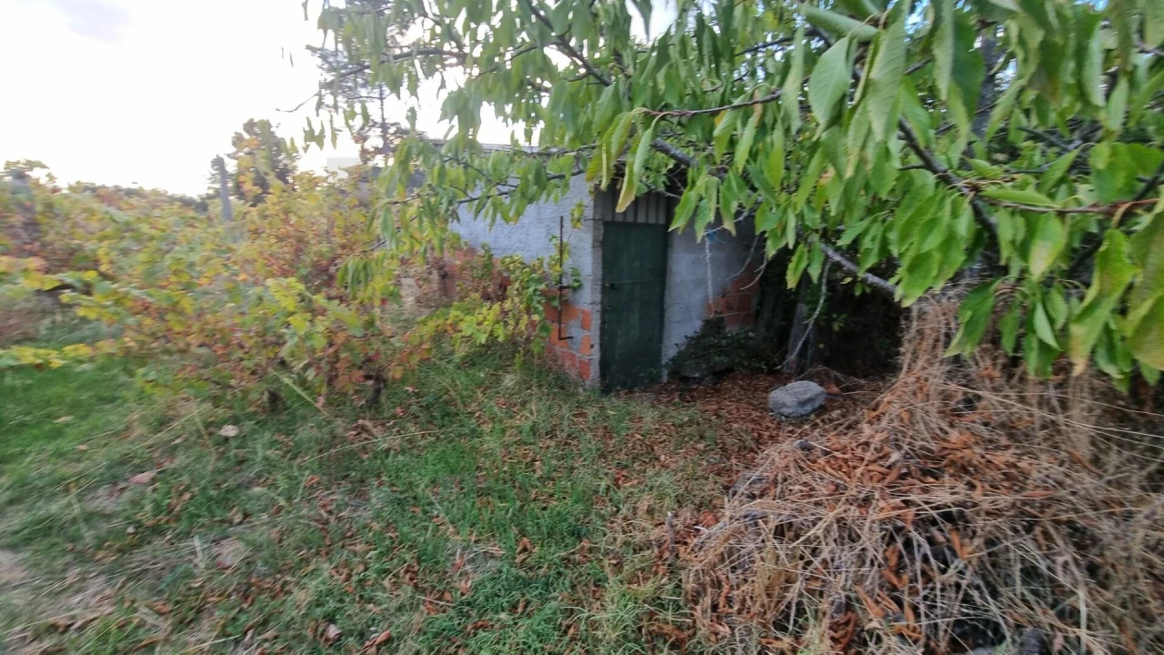 Quinta para Venda em Louriçal do Campo Foto 5