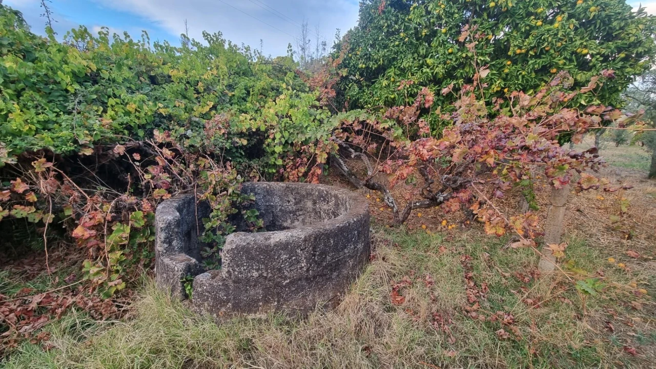 Quinta para Venda em Louriçal do Campo Foto 4