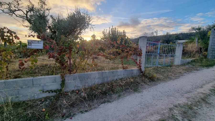 Quinta para Venda em Louriçal do Campo