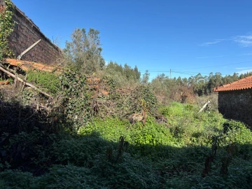 Moradia T1 para Venda em Olalhas