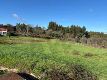 Moradia T1 para Venda em Olalhas