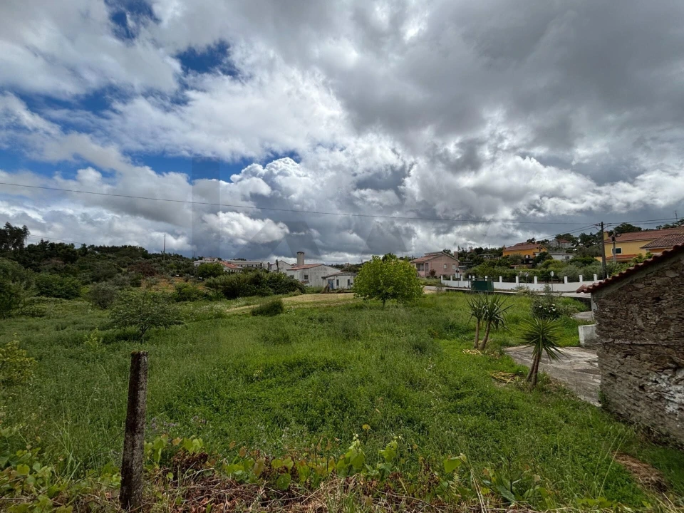 Moradia T1 para Venda em Olalhas Foto 23