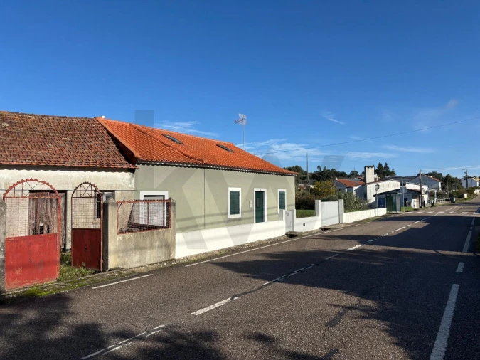 Moradia T1 para Venda em Olalhas Foto 4