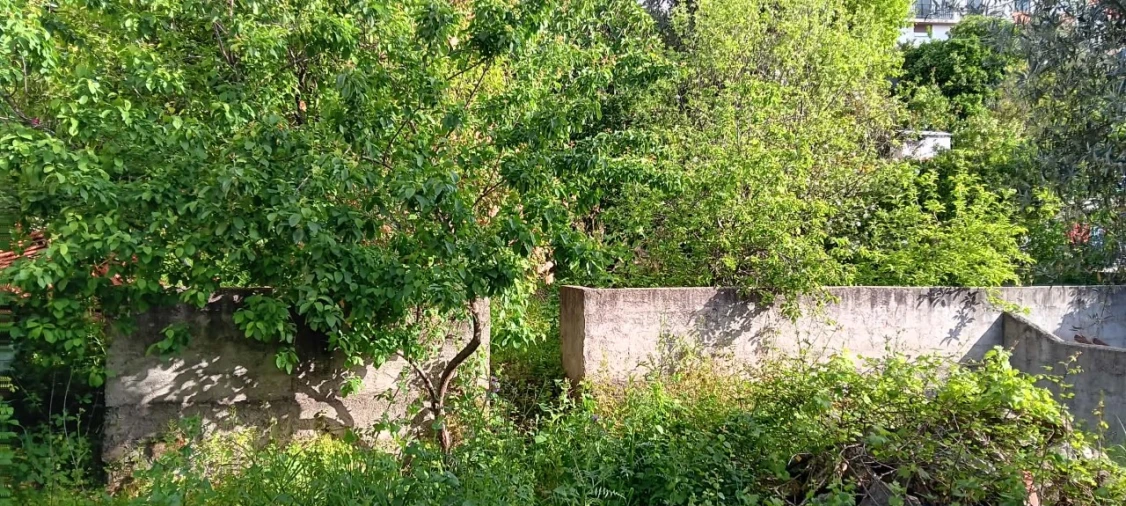 Moradia T2 para Venda em Mação, Penhascoso e Aboboreira Foto 13