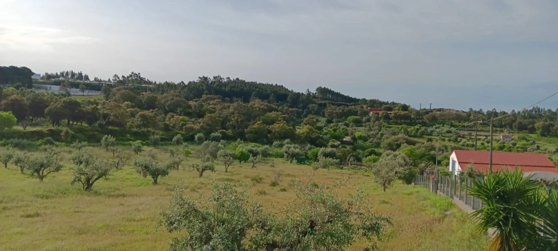 Moradia T2 para Venda em Mação, Penhascoso e Aboboreira Foto 16