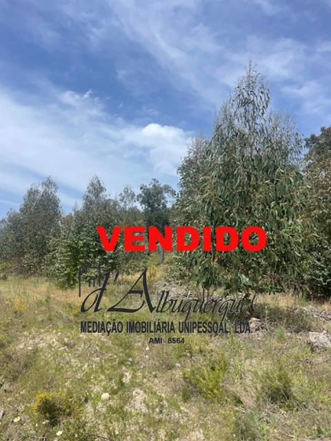 Terreno Agricola ou Rústico para Venda em Ponte de Sor, Tramaga e Vale de Açor