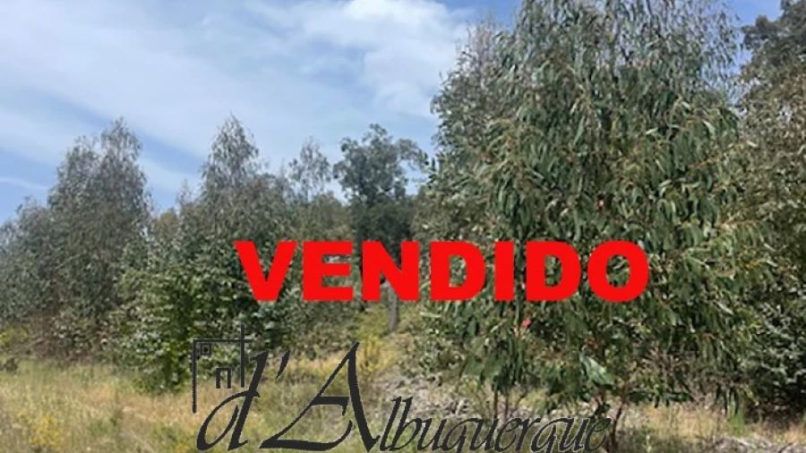 Terreno Agricola ou Rústico para Venda em Ponte de Sor, Tramaga e Vale de Açor