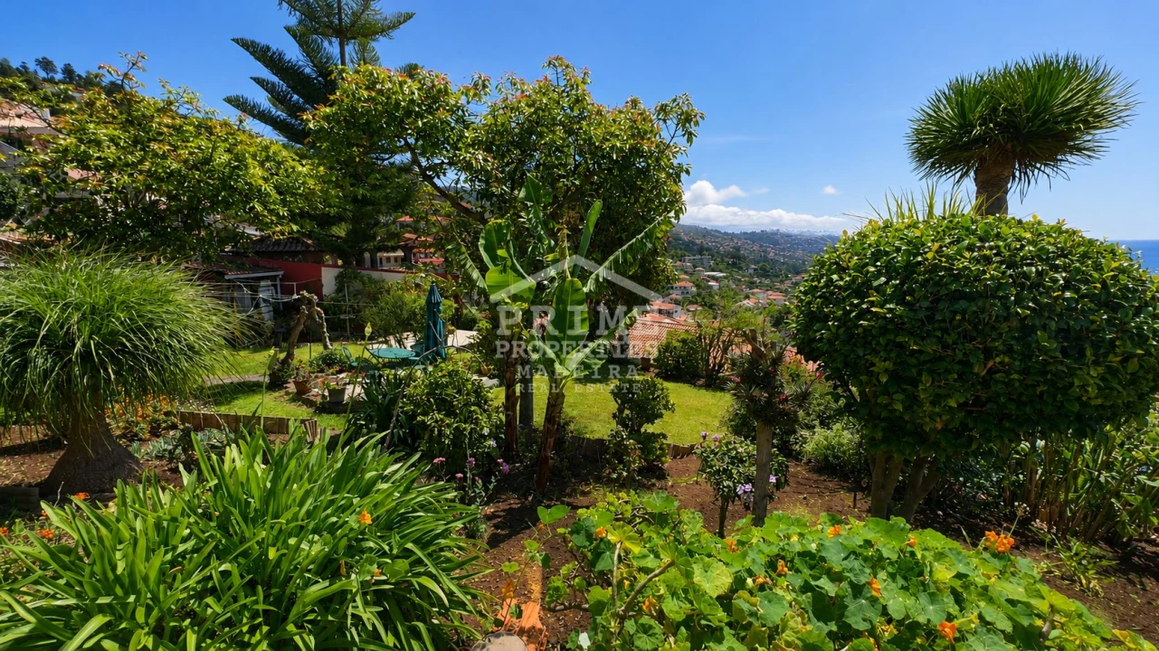 Moradia T2 para Venda em Monte Foto 16