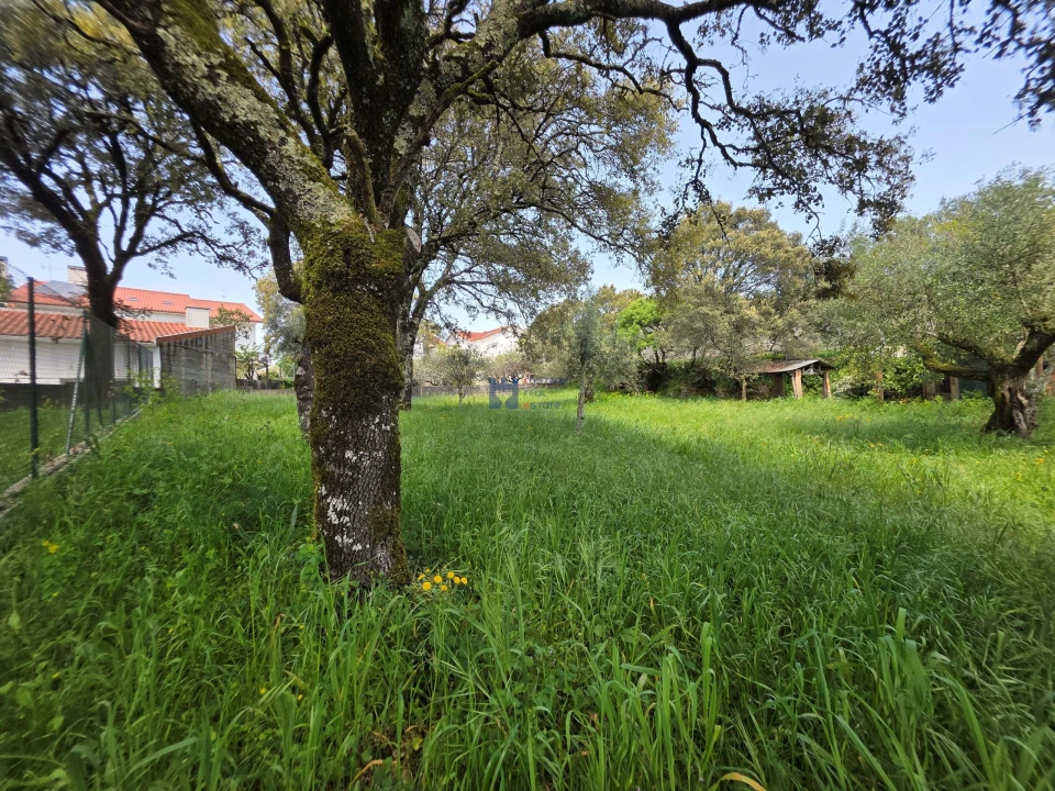 Terreno para Venda em Fatima Foto 14